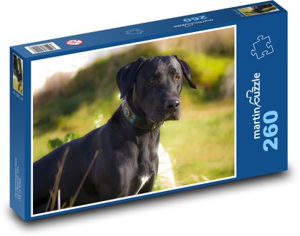 Czarny pies w trawie - Puzzle 260 elementów, rozmiar 41x28,7 cm