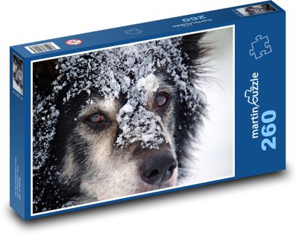 Pes - Border collie - Puzzle 260 dielikov, rozmer 41x28,7 cm