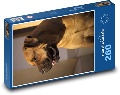 Portret psa w pomieszczeniu - Puzzle 260 elementów, rozmiar 41x28,7 cm