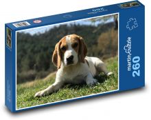 Pies Puzzle 260 elementów - 41x28,7 cm