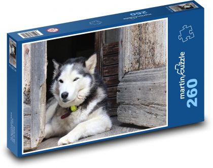 Resting huskies at the shack - Puzzle 260 pieces, size 41x28.7 cm 