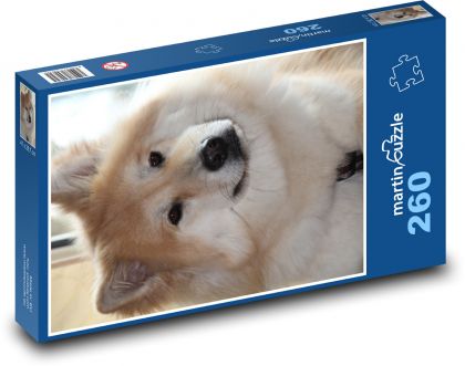 Słodki futrzany pies - Puzzle 260 elementów, rozmiar 41x28,7 cm