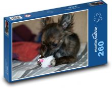 Hund - Chihuahua spielt mit Spielzeug Puzzle 260 Teile - 41 x28,7 cm