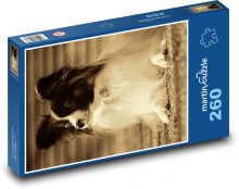 Kleiner Hund im Sepia-Ton, Papillon Puzzle 260 Teile - 41 x28,7 cm