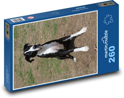 Dog friend ready to go - Puzzle 260 pieces, size 41x28.7 cm 