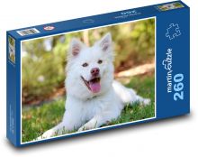 Zadowolony przyjaciel psa Puzzle 260 elementów - 41x28,7 cm