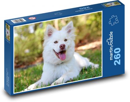 Zadowolony przyjaciel psa - Puzzle 260 elementów, rozmiar 41x28,7 cm