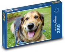 Hunde-Lächeln Puzzle 260 Teile - 41 x28,7 cm