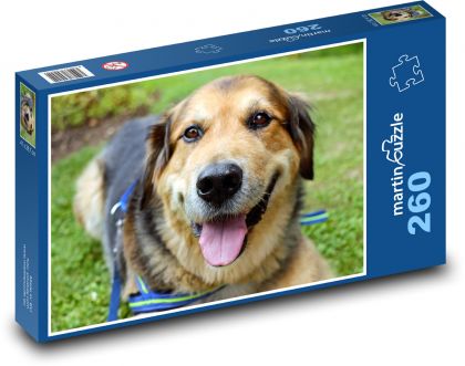 Hunde-Lächeln - Puzzle - 260 Teile