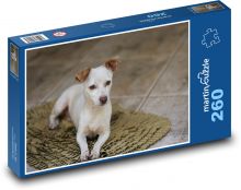 Malý biely pes s hnedými ušami Puzzle 260 dielikov - 41 x 28,7 cm 