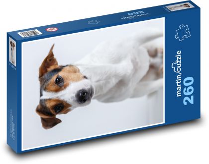 Ciekawski pies z czarnobrązową głową - Puzzle 260 elementów, rozmiar 41x28,7 cm