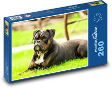 Pes, strážce zahrady Puzzle 260 dílků - 41 x 28,7 cm