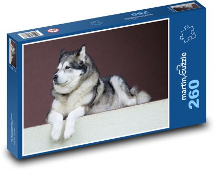 Pies stróż ciszy, malamut alaskański - Puzzle 260 elementów, rozmiar 41x28,7 cm