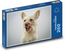 Šťastný bílý hafan s velkým jazykem Puzzle 260 dílků - 41 x 28,7 cm