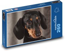 Psí oči plné oddanosti, jezevčík Puzzle 260 dílků - 41 x 28,7 cm