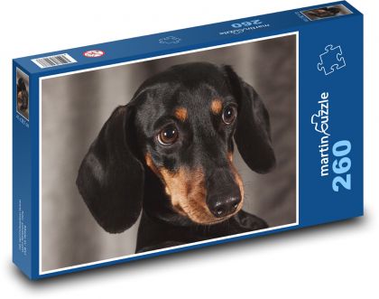 Psí oči plné oddanosti, jezevčík - puzzle 260 dílků