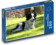 Sommervergnügen mit einem Hund Puzzle 260 Teile - 41 x28,7 cm