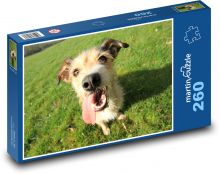 Hund mit herausragender Zunge Puzzle 260 Teile - 41 x28,7 cm
