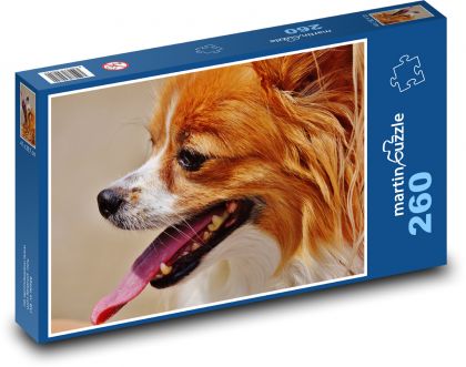 Verný psí priateľ, papillon - Puzzle 260 dielikov, rozmer 41x28,7 cm