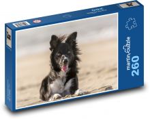 Pies leżący na wietrze Puzzle 260 elementów - 41x28,7 cm