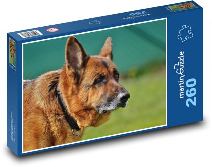 Pes, tichý ochranca - Puzzle 260 dielikov, rozmer 41x28,7 cm