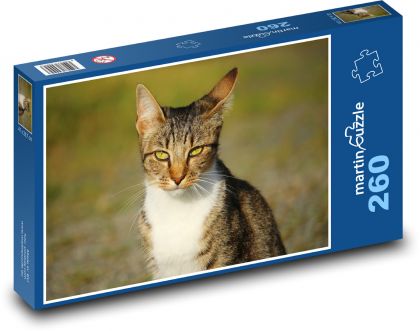 Katze mit stechenden Augen - Puzzle - 260 Teile