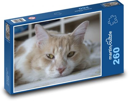 Odpočívajúca mačka - Puzzle 260 dielikov, rozmer 41x28,7 cm