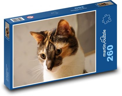 Nahaufnahme Porträt einer Katze - Puzzle - 260 Teile