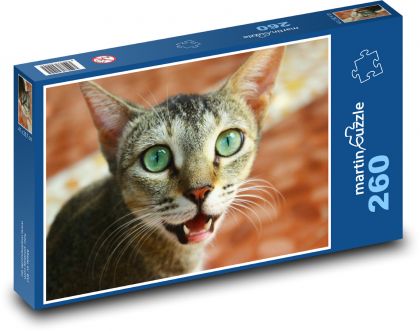 Green-eyed cat - Puzzle 260 pieces, size 41x28.7 cm 