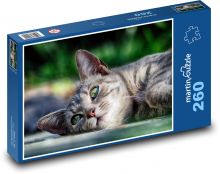 Resting cat Puzzle 260 pieces - 41 x 28.7 cm