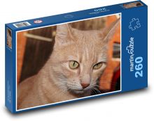 Pronikavý kočičí pohled Puzzle 260 - 41x28,7 cm