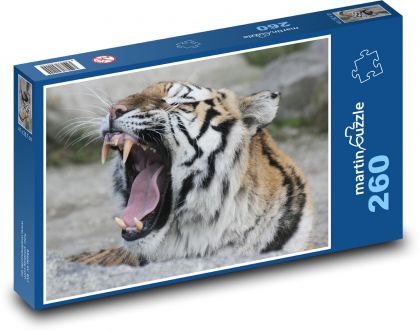 The roar of the tiger - Puzzle 260 pieces, size 41x28.7 cm 