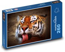 Vnitřní klid tygra Puzzle 260 dílků - 41 x 28,7 cm