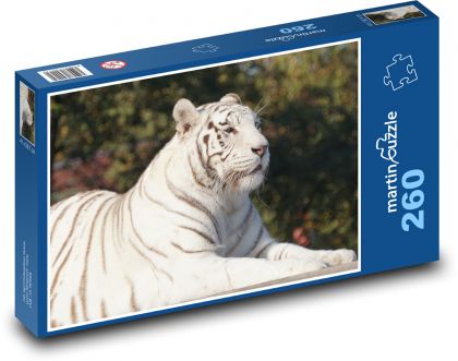 Bílý tygr ležící na slunci - puzzle 260 dílků