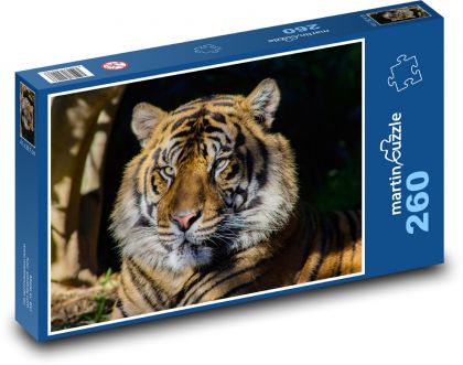 Ein im Schatten ruhender Tiger - Puzzle - 260 Teile