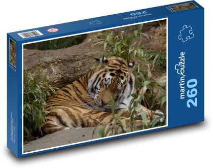 Peaceful tiger in nature - Puzzle 260 pieces, size 41x28.7 cm 