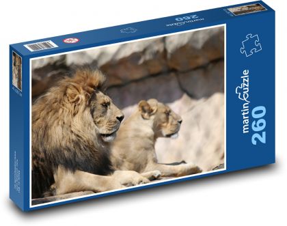 Královská lví dvojice - puzzle 260 dílků