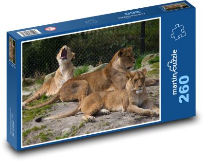 Lvice savany v odpočinku - puzzle 260 dílků