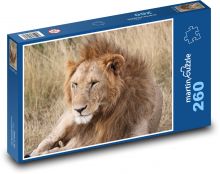 Lev Puzzle 260 dílků - 41 x 28,7 cm