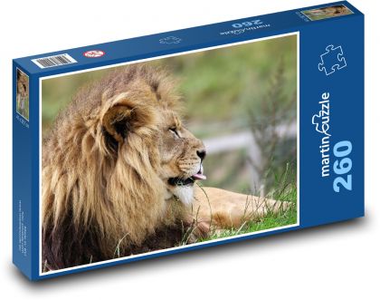 Lion king of the savannah - Puzzle 260 pieces, size 41x28.7 cm 