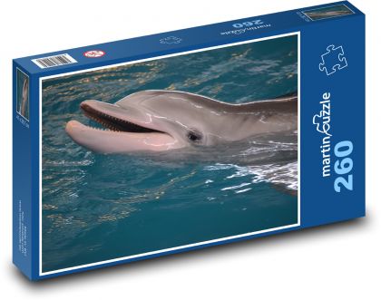 Usmievavý delfín v bazéne - Puzzle 260 dielikov, rozmer 41x28,7 cm
