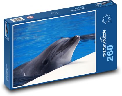 Dolphin - Puzzle 260 pieces, size 41x28.7 cm 