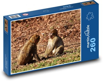 Dve opice v prírode - Puzzle 260 dielikov, rozmer 41x28,7 cm