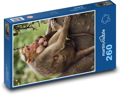Opičia matka s mláďaťom - Puzzle 260 dielikov, rozmer 41x28,7 cm