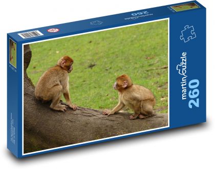 Opice - Puzzle 260 dílků, rozměr 41x28,7 cm