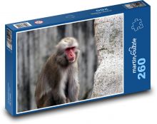 Opice v tichém zamyšlení Puzzle 260 dílků - 41 x 28,7 cm