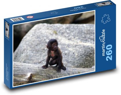Ciekawska małpka - Puzzle 260 elementów, rozmiar 41x28,7 cm