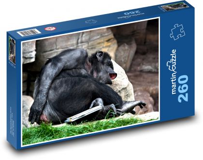 Resting monkey - Puzzle 260 pieces, size 41x28.7 cm 