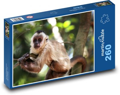 Brauner Affe im Baum - Puzzle - 260 Teile