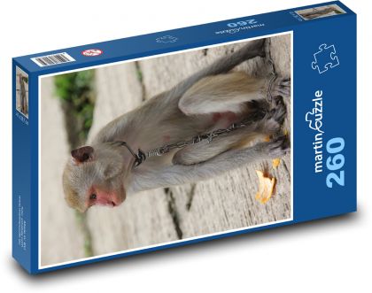 Opice makak s řetězem na krku - puzzle 260 dílků
